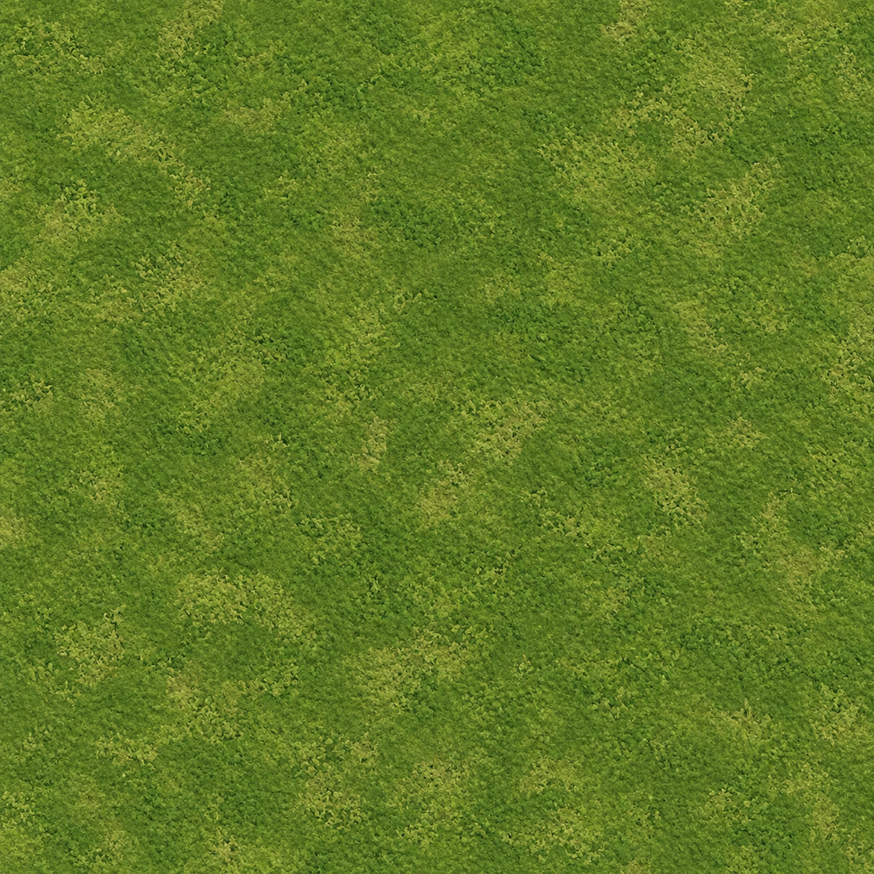 Natural Ground Terrain Texture preview showing a natural ground texture