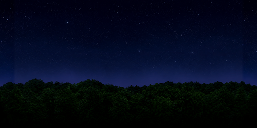 Clear Starry Night Forest Silhouette HDRI Sphere preview showing a 360-degree HDRI environment sphere