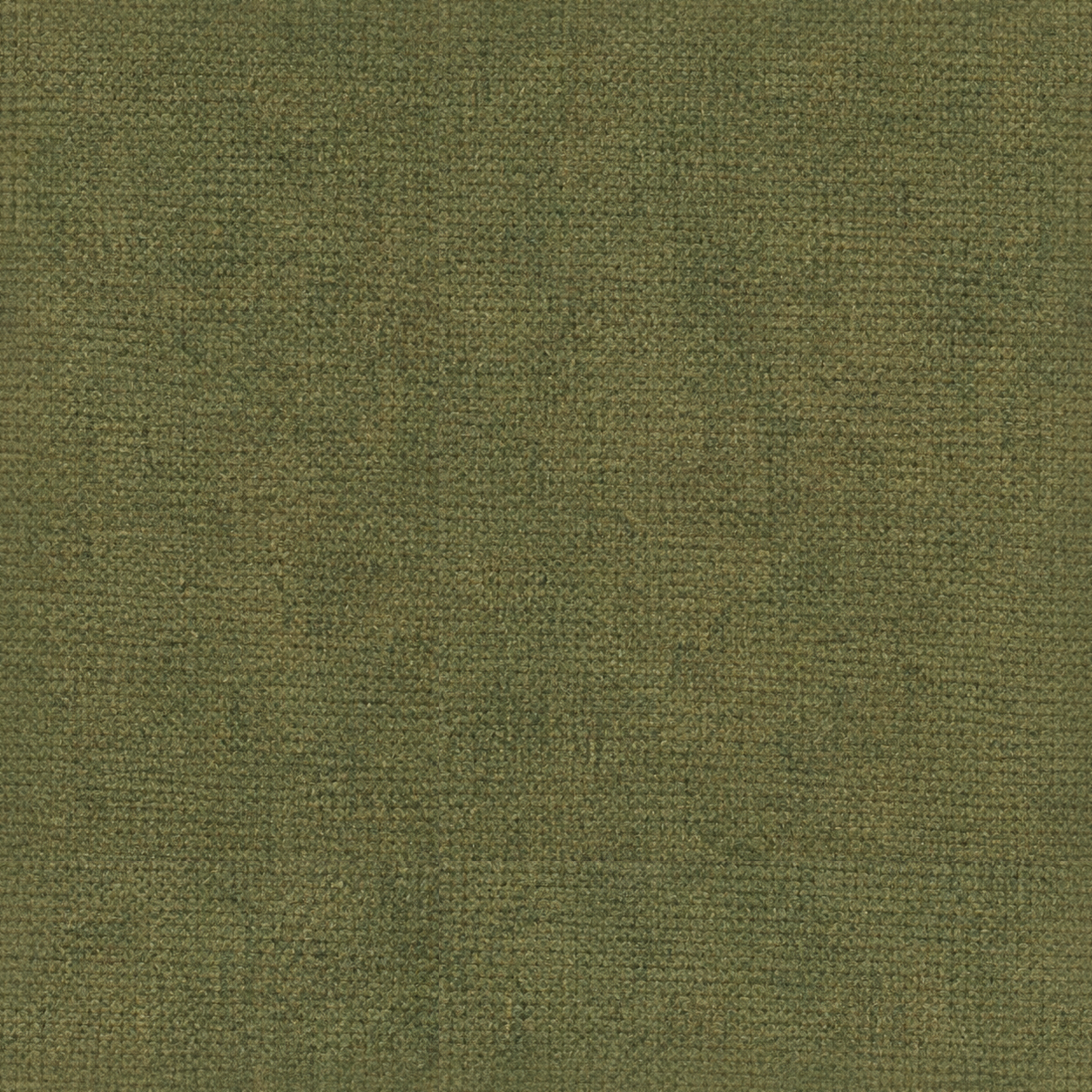 Fabric Texture