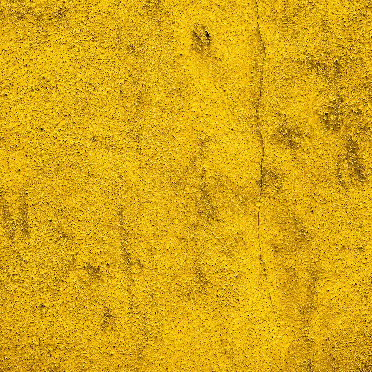 Golden Yellow Pitted Plaster with a Long Hairline Crack Texture preview showing a rough concrete texture