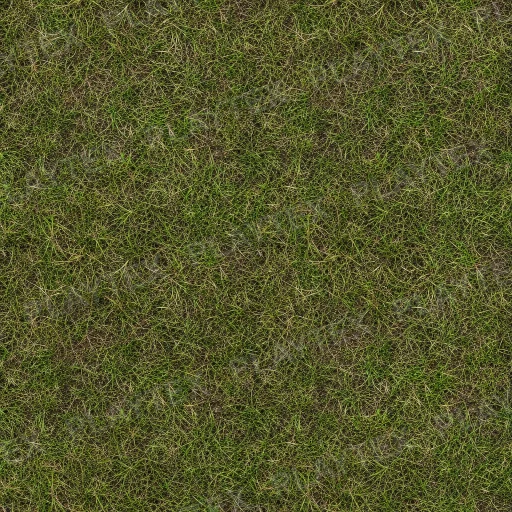 Green Grass Landscape Texture