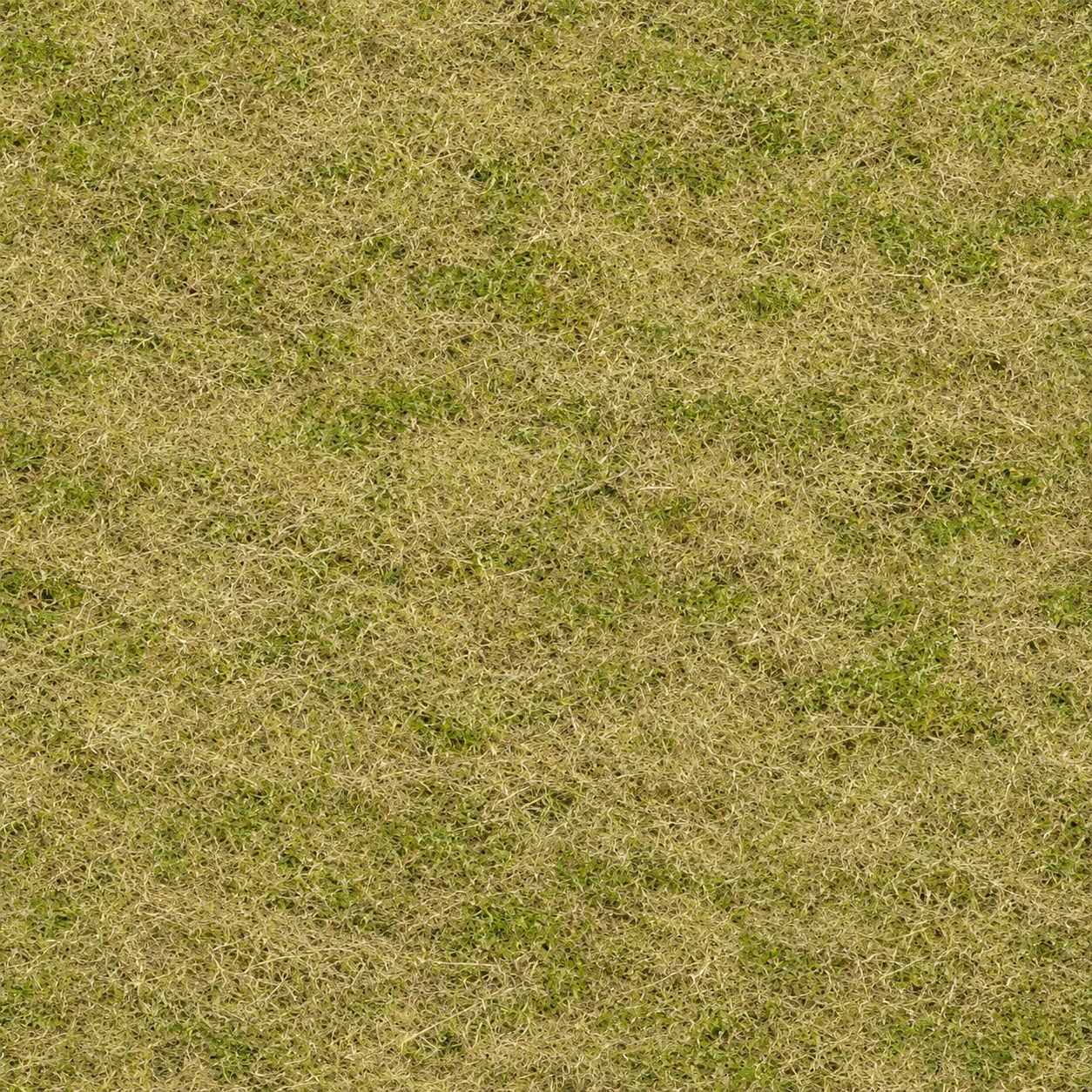 Ground Texture preview showing a surface ground texture