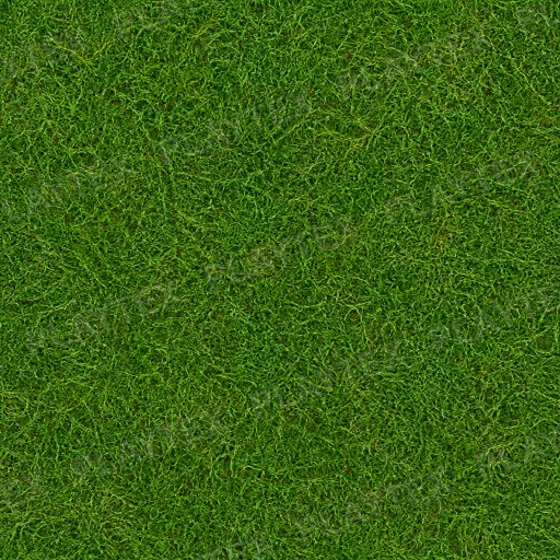 Green Grass Cartoon Organic Texture