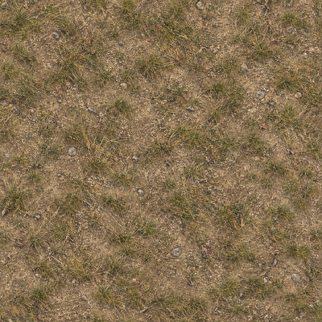 Natural Ground Terrain Texture