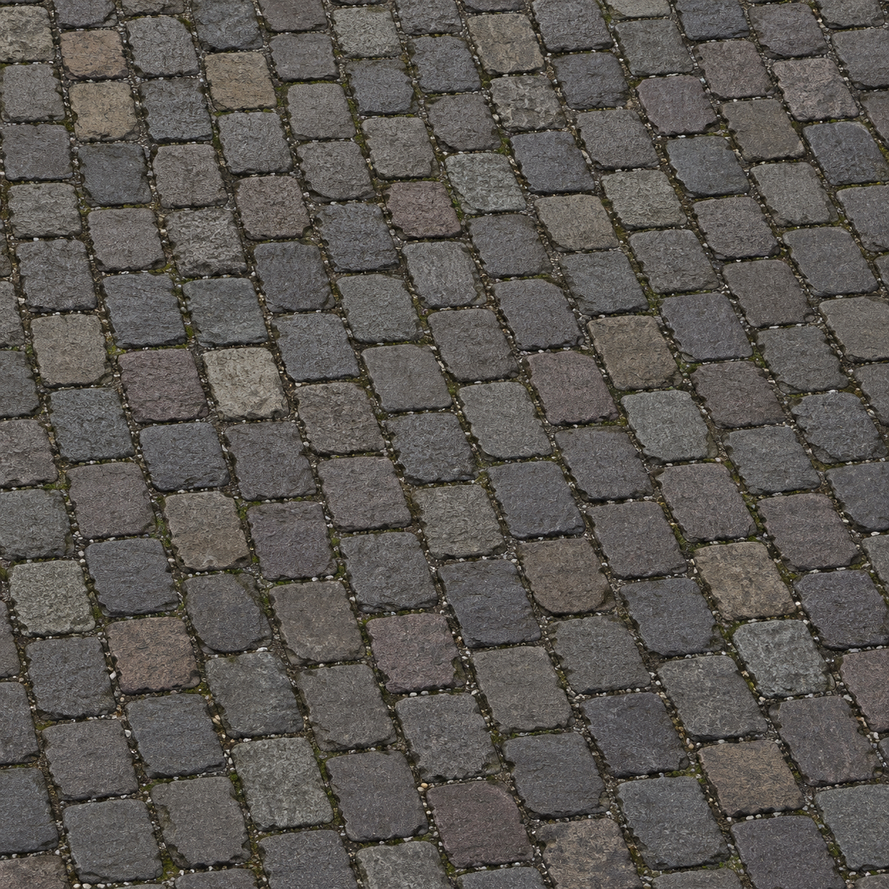 Gray Cobblestone Paving with Mossy Joints Texture preview showing a worn stone texture