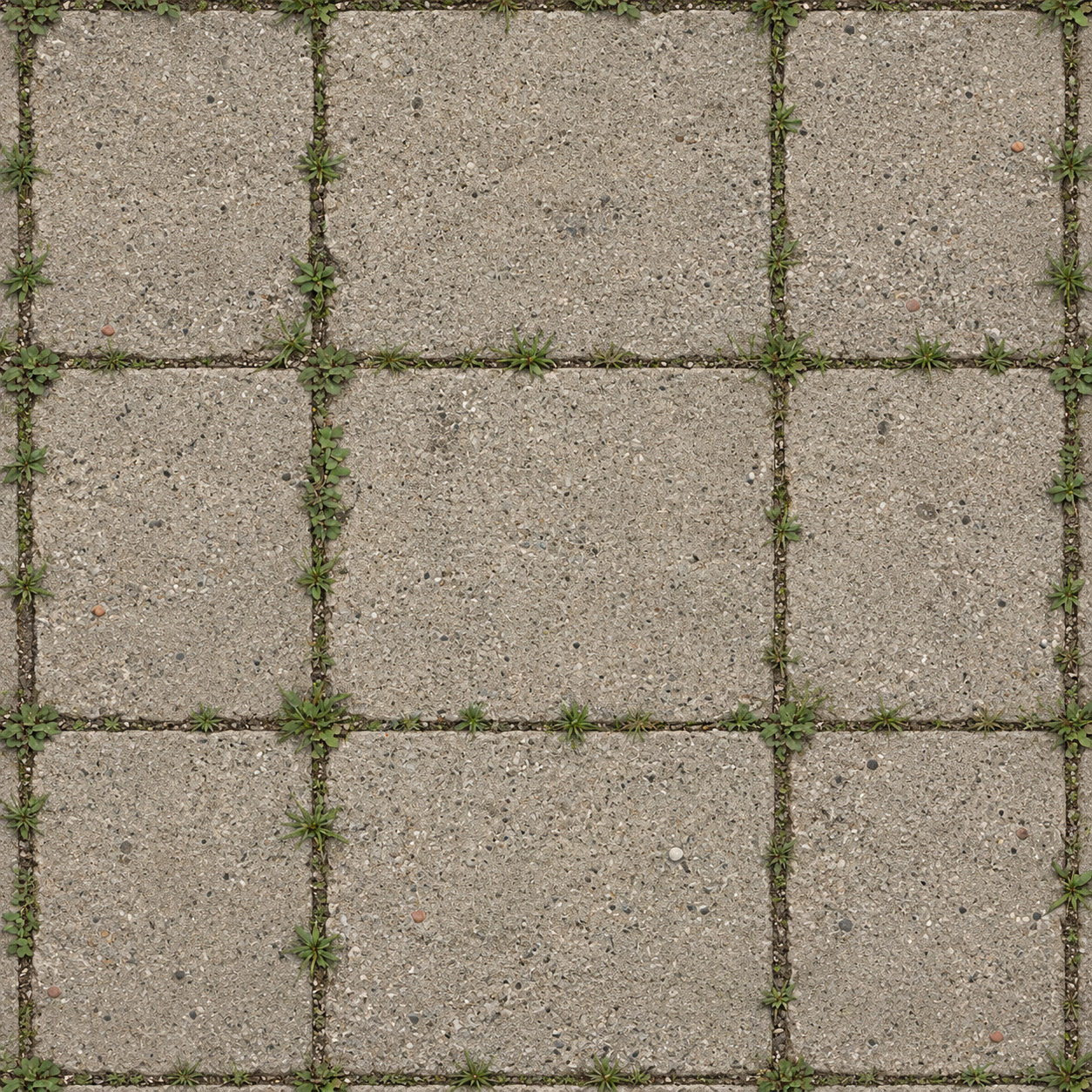 Pale Gray Moss-Jointed Stone Paver Grid Texture preview showing a natural stone texture