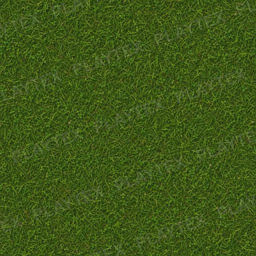 Green Grass Lush Texture