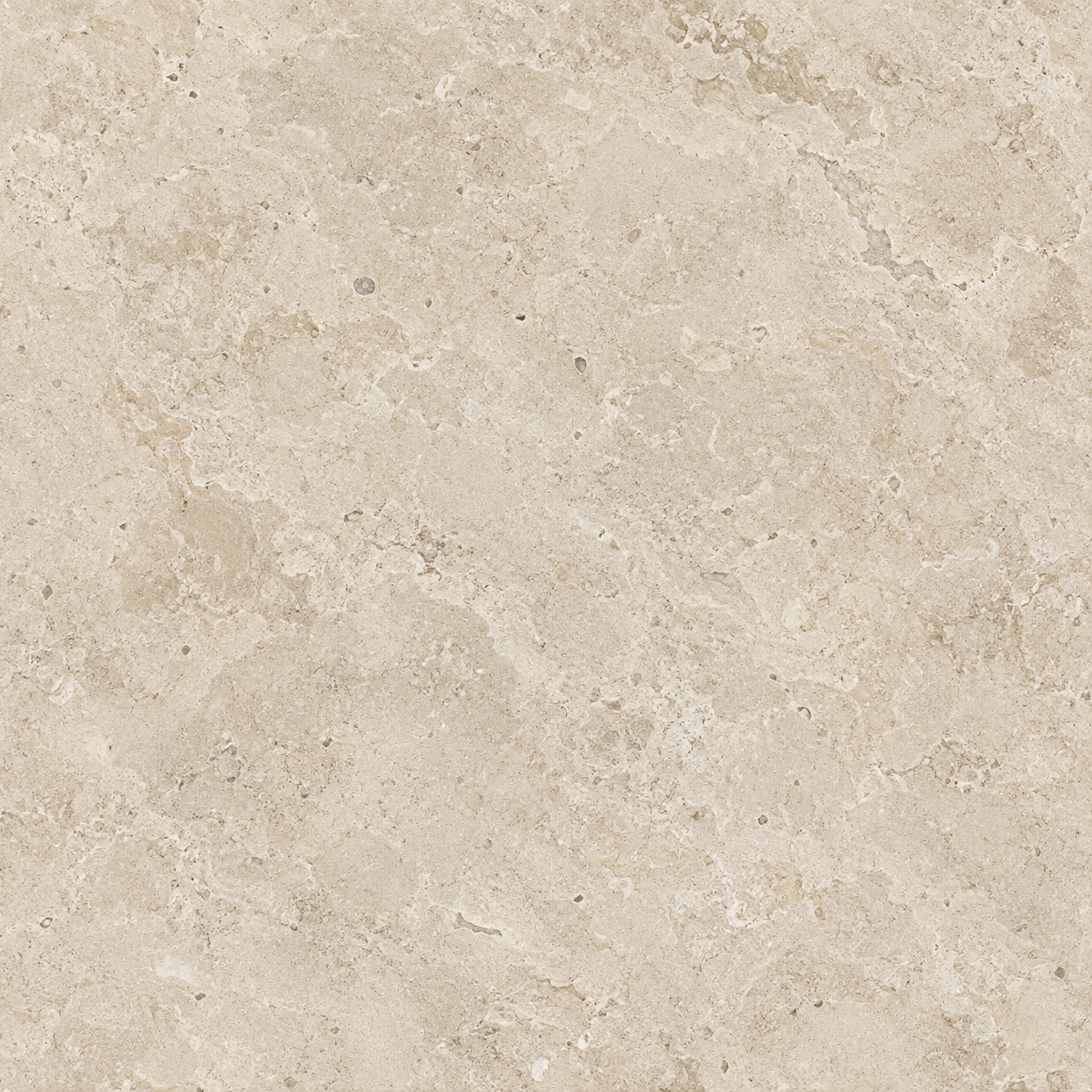 Warm Beige Fossil Limestone Texture
