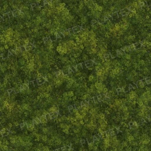 Green Organic Damp Moss Texture