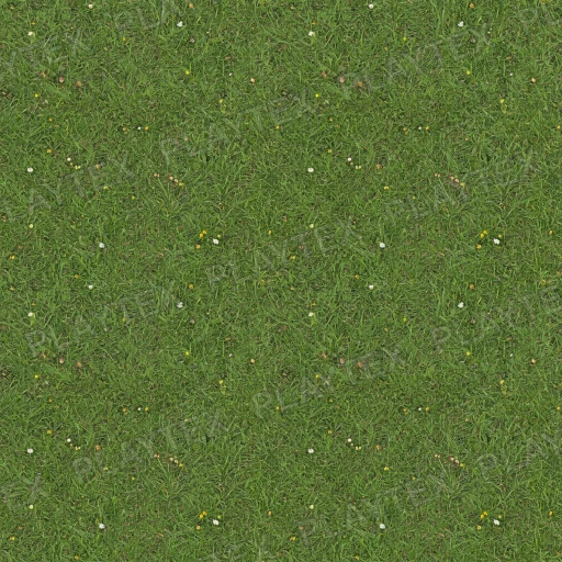 Green Grass Terrain Organic Light Texture