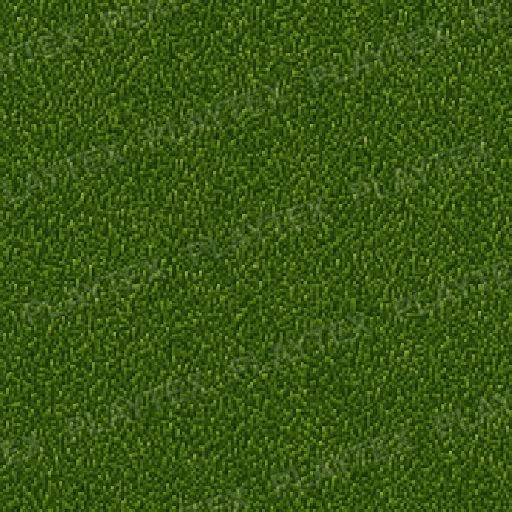 Green Grass Terrain Organic Texture