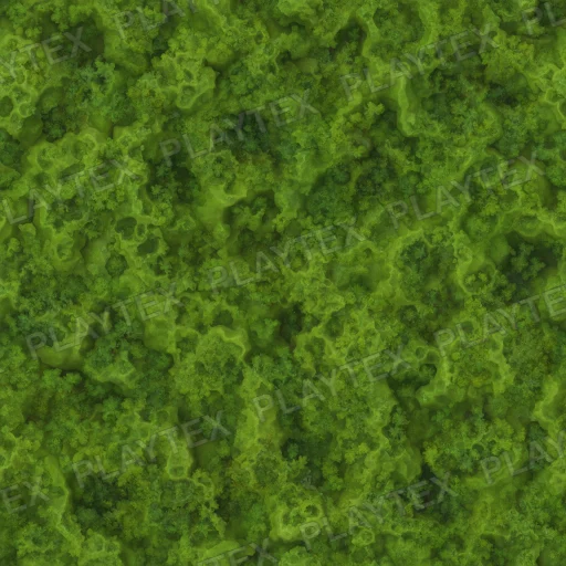 Green Textured Damp Moss Texture