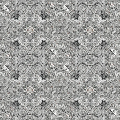 Granite Gray Beige Texture