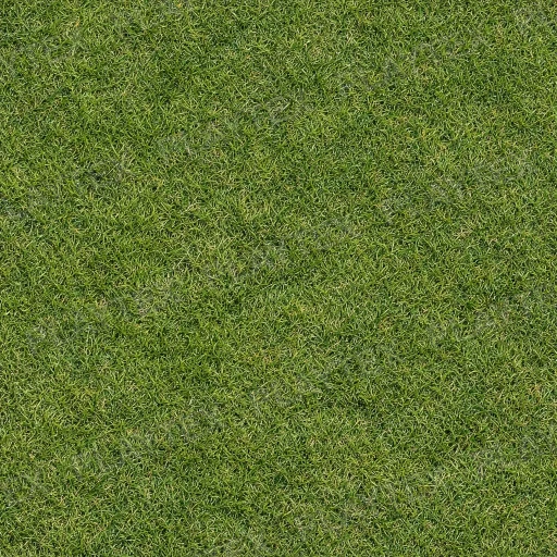 Green Terrain Grass Texture