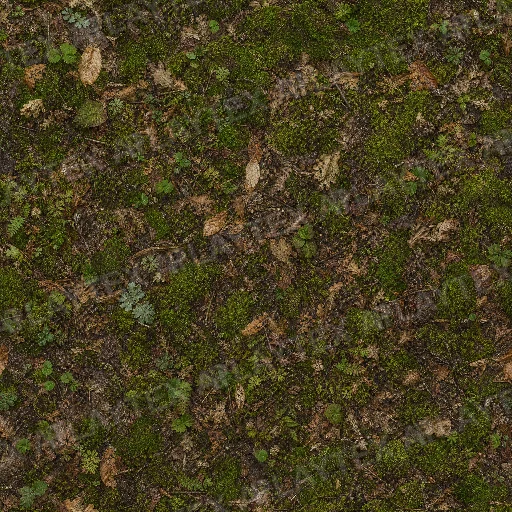 Moss and Leaf-Litter Forest Floor Texture