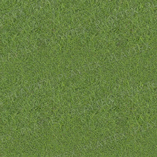 Green Grass Terrain Organic Lime Texture