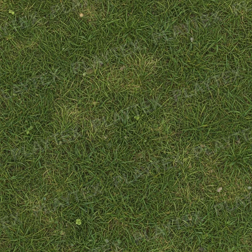 Green Grass Abstract Organic Texture