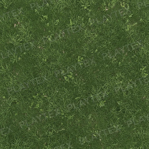 Green Vegetation Abstract Organic Texture