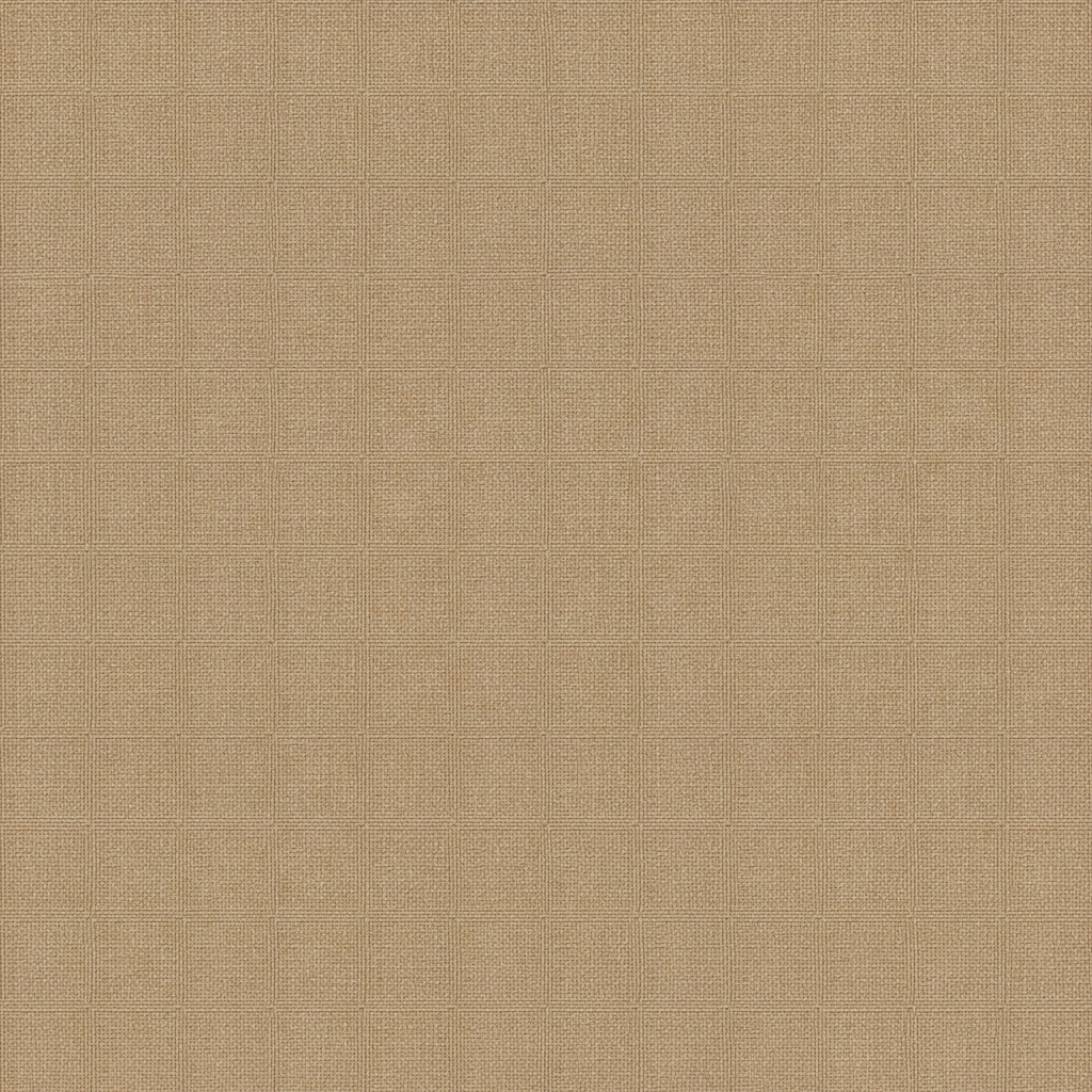 Fabric Tan Beige Texture