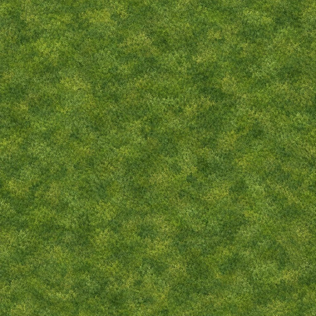 Natural Ground Terrain Texture preview showing a natural ground texture