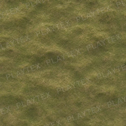 Green Grass Dunes Vegetation Texture