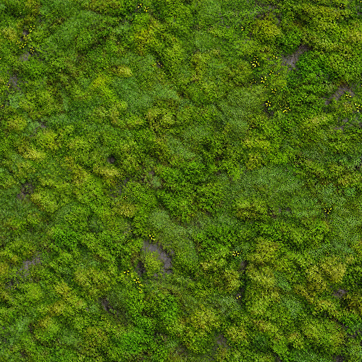 Bright Green Moss and Yellow-Flower Groundcover Texture preview showing a natural moss texture