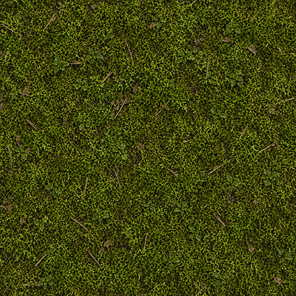 Yellow-Green Moss Groundcover Texture preview showing a natural moss texture