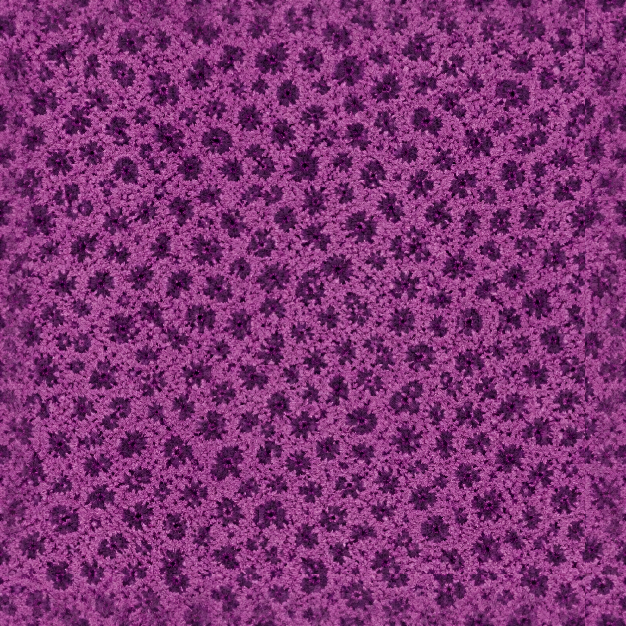 Fabric Texture