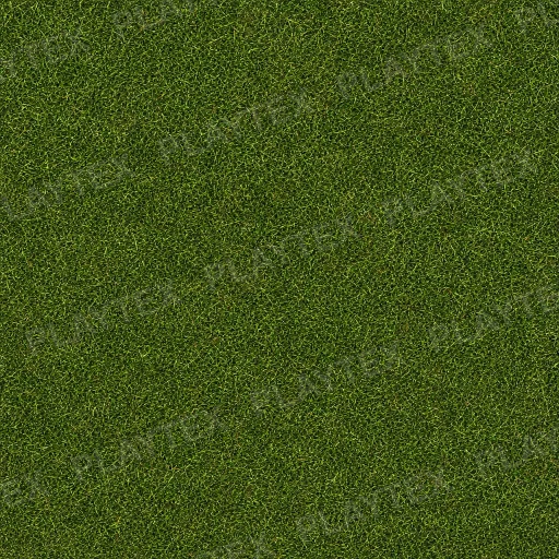 Green Grass Dark Organic Texture