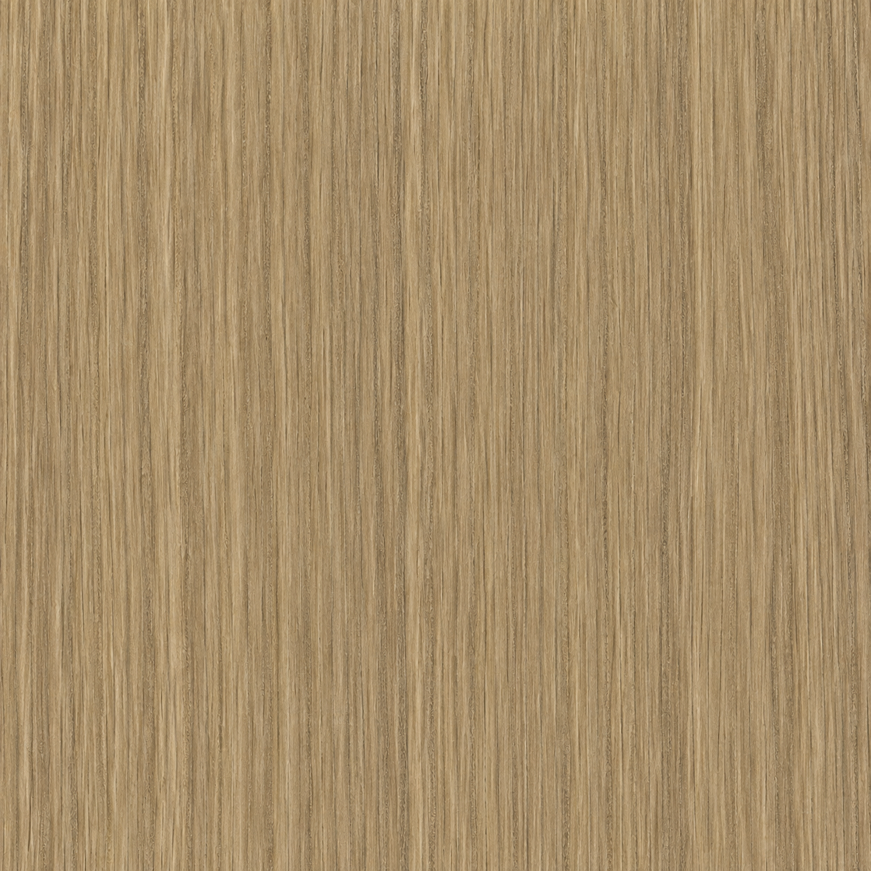 Wall Texture preview showing a surface other texture