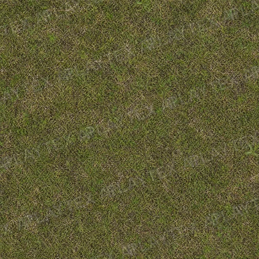 Patchy Olive Grass Ground Texture