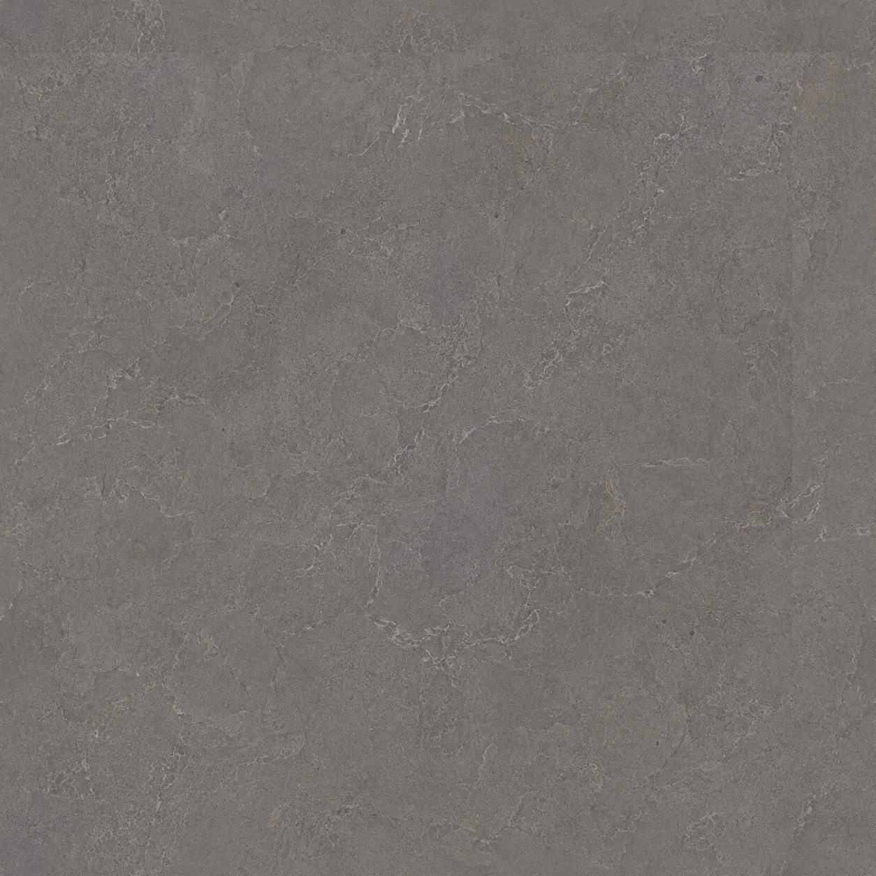 Medium Gray Veined Stone Tile Texture