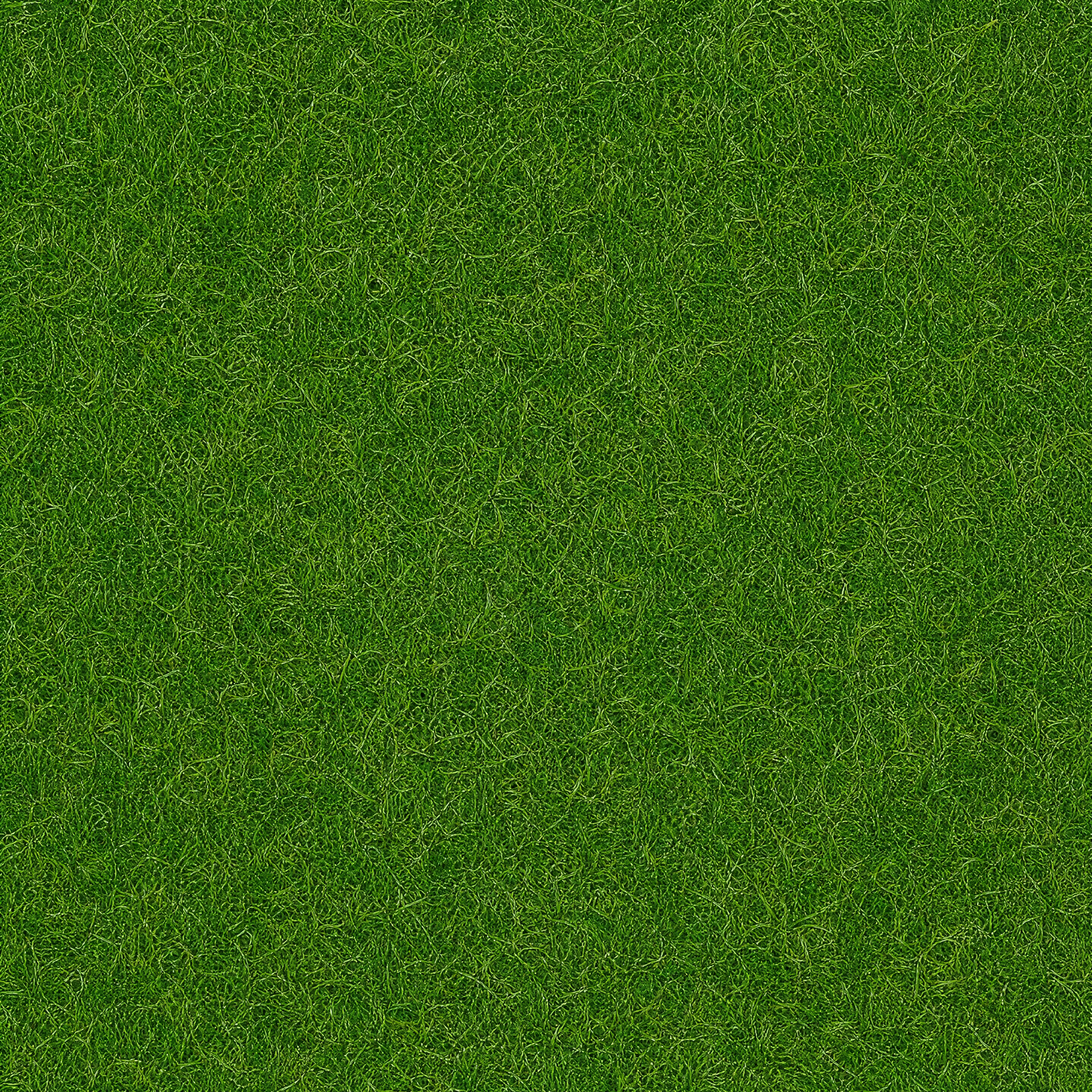 Surface Texture preview showing a game-ready other texture