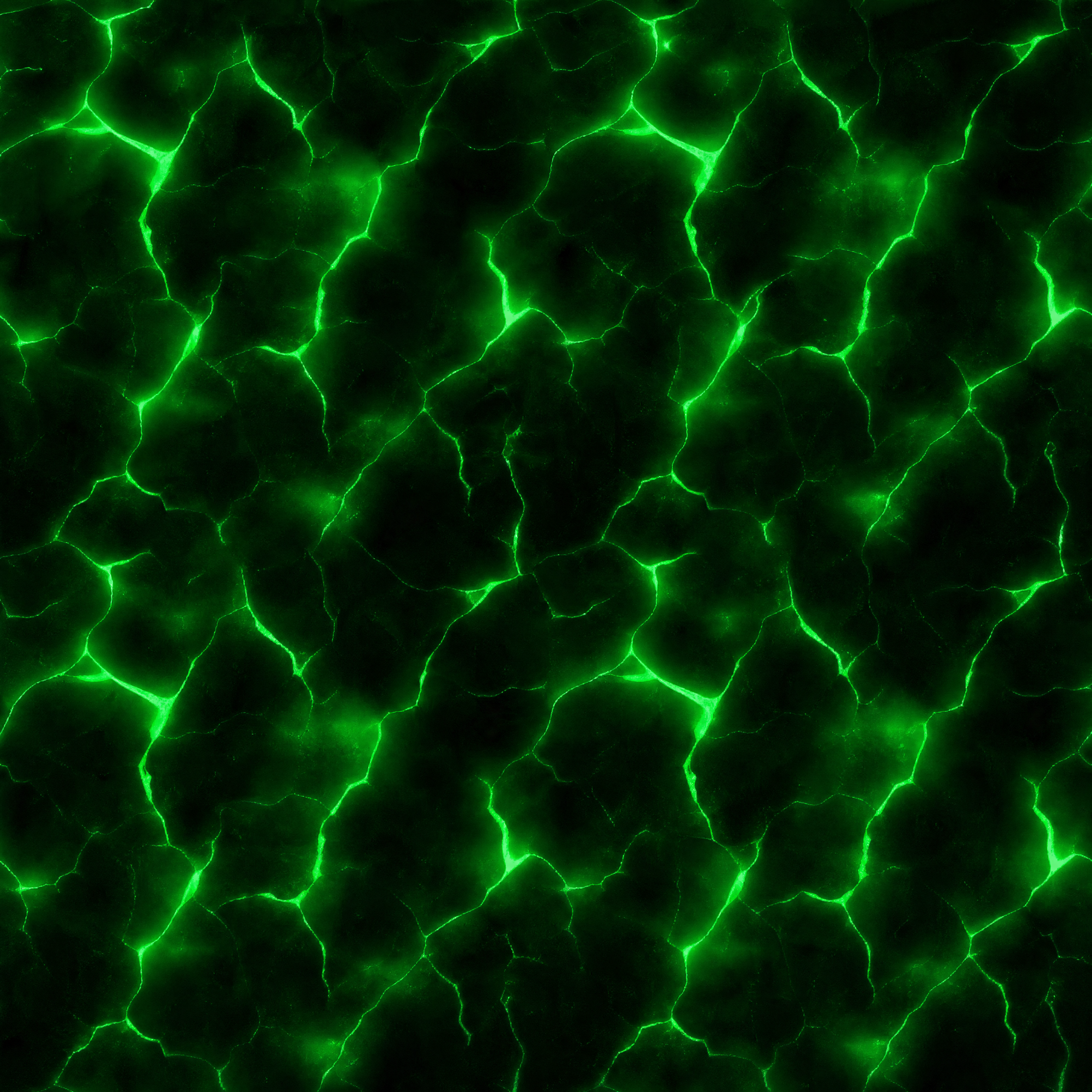 Surface Texture preview showing a game-ready other texture