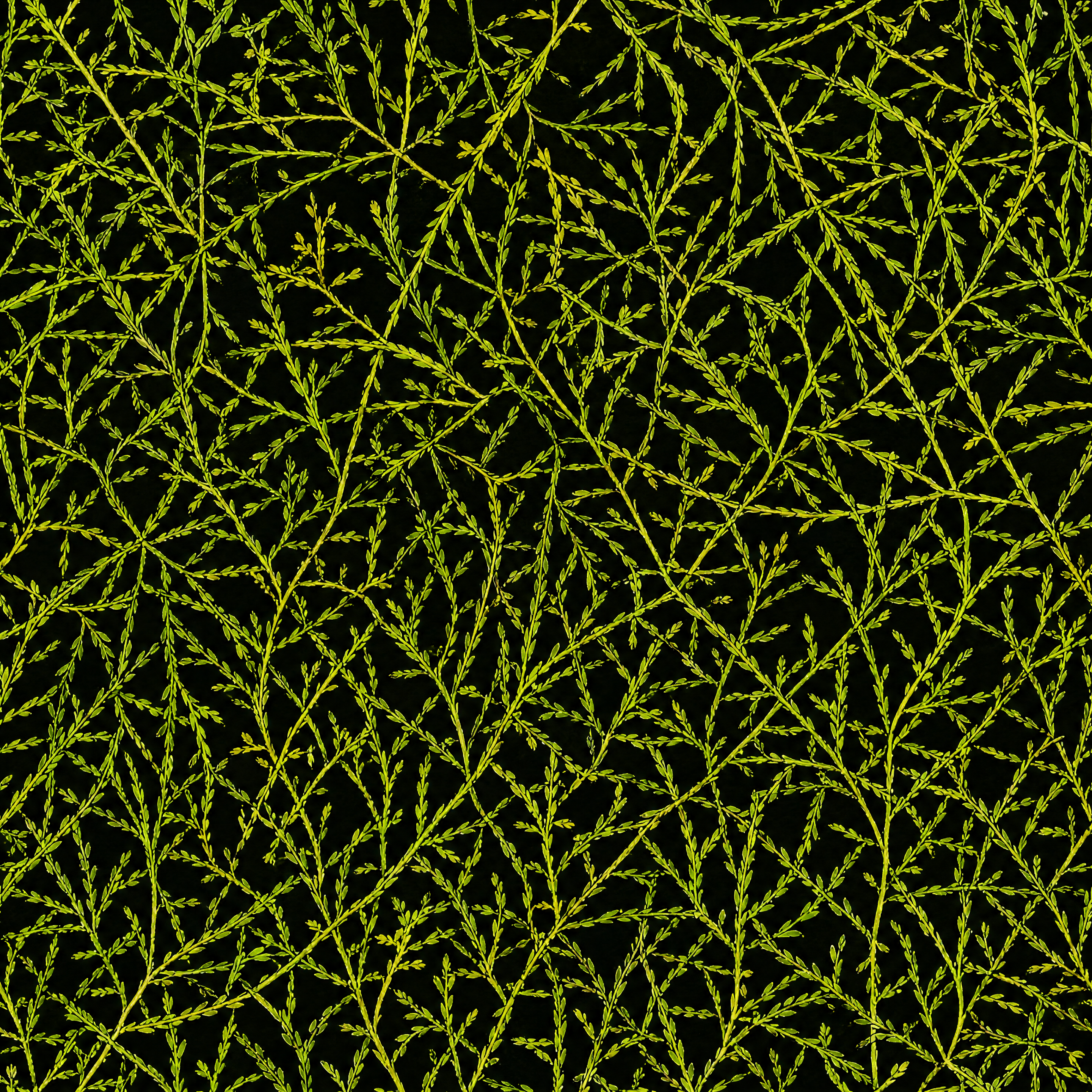 Surface Texture preview showing a game-ready other texture