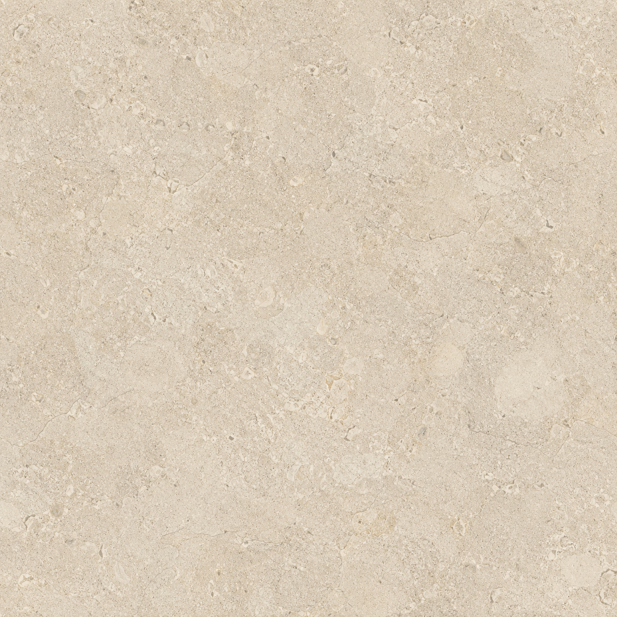 Ivory Fossil Shell Limestone Texture preview showing a rough stone texture