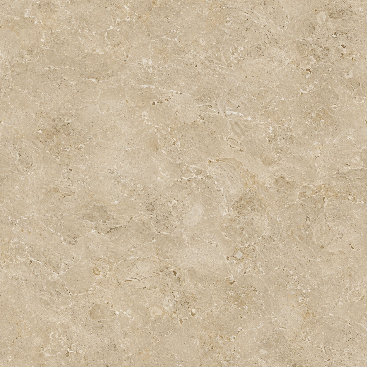 Cream Veined Fossil Limestone Texture preview showing a natural stone texture