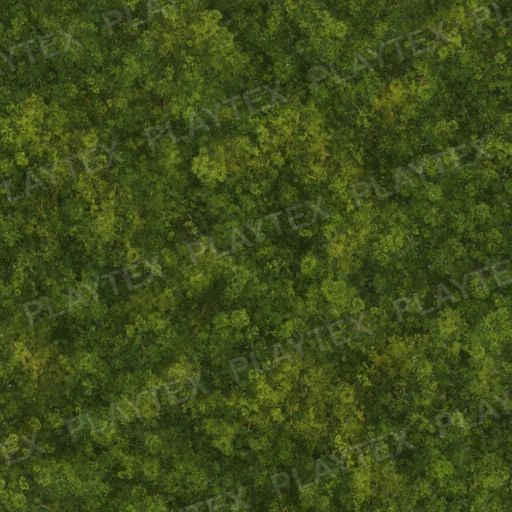 Moss Texture 2 preview showing a natural moss texture