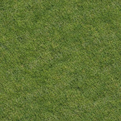 Grass Ground Texture 12 preview showing a natural stone texture