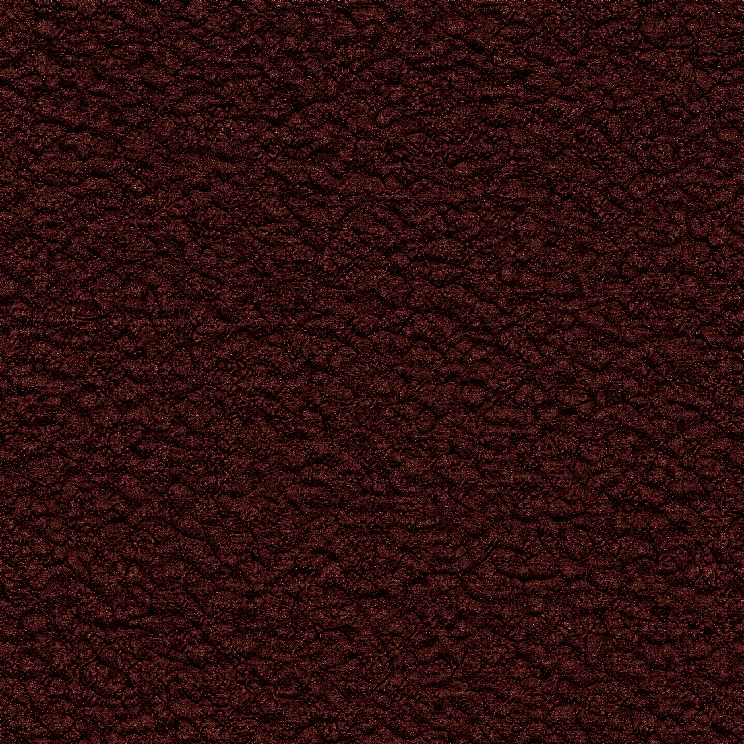 Flesh Texture preview showing a natural organic texture