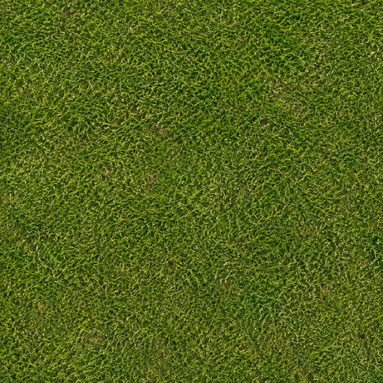 Dense Lime Green Grass Mat Texture preview showing a natural ground texture