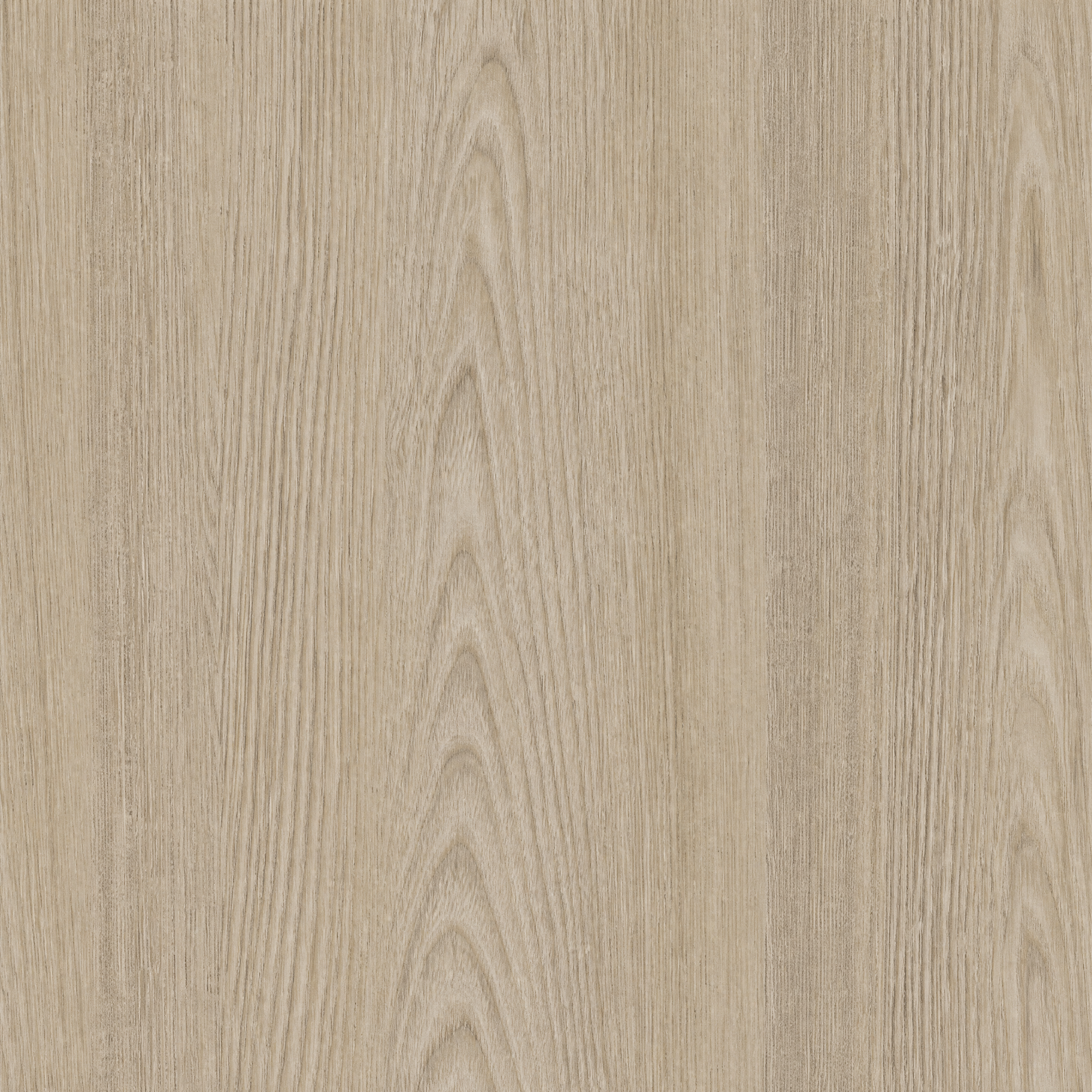 Surface Texture preview showing a game-ready other texture