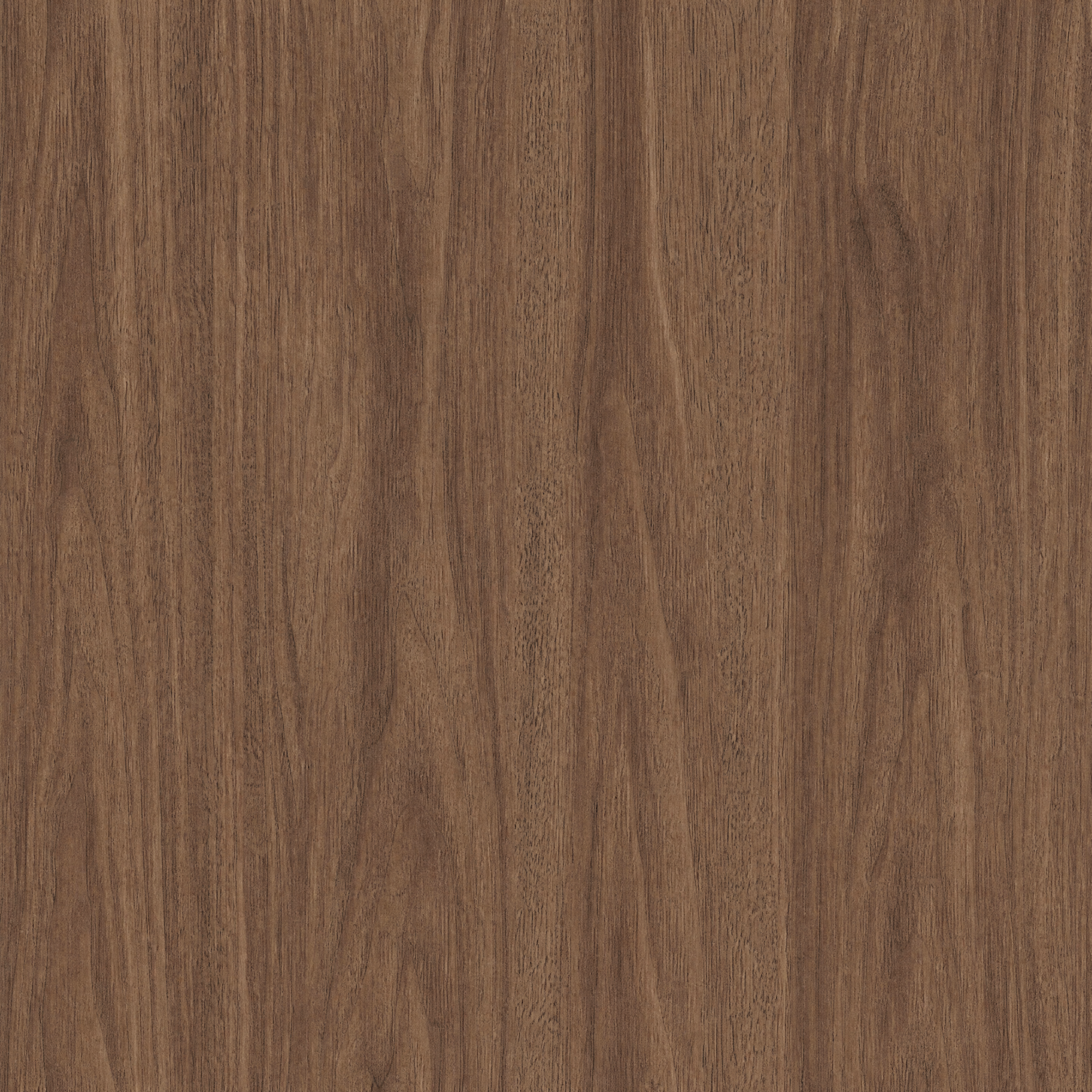 Surface Texture preview showing a game-ready other texture