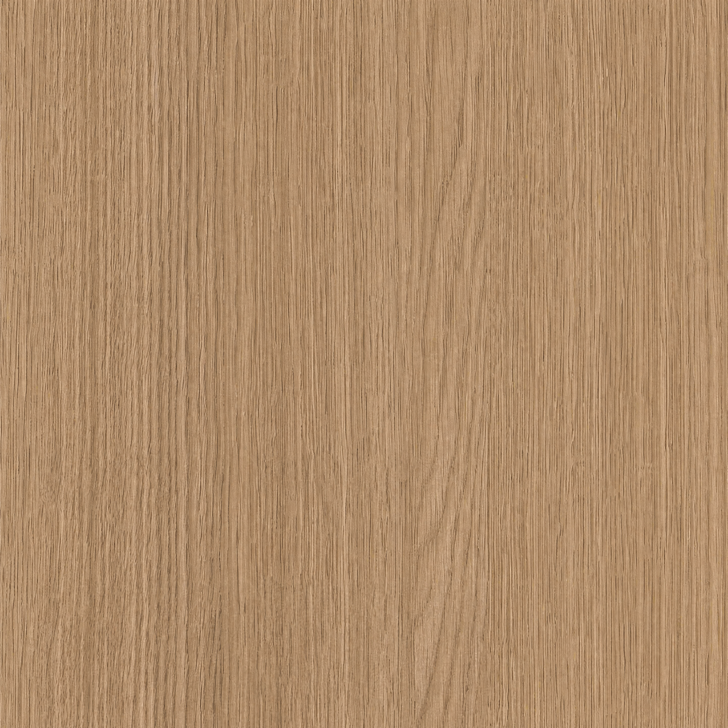 Surface Texture preview showing a game-ready other texture