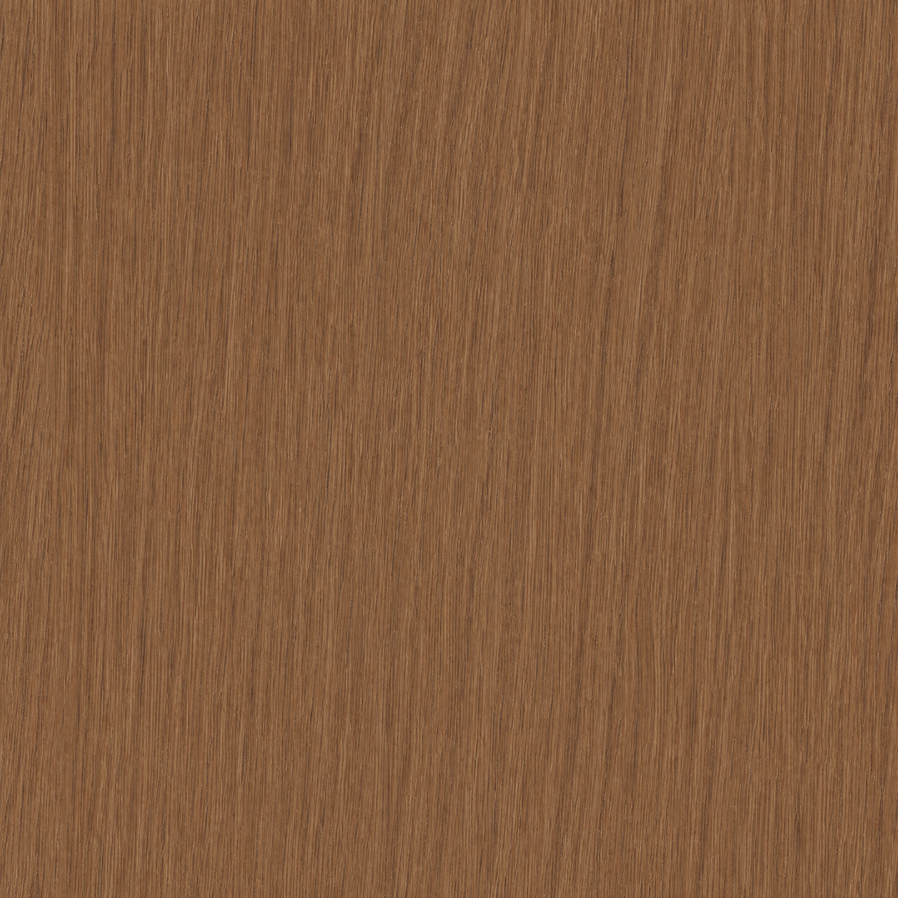 Surface Texture preview showing a game-ready other texture