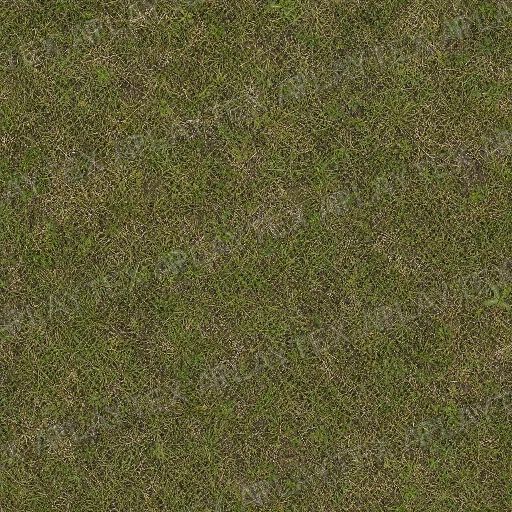 Patchy Olive Grass Ground Texture preview showing a worn ground texture