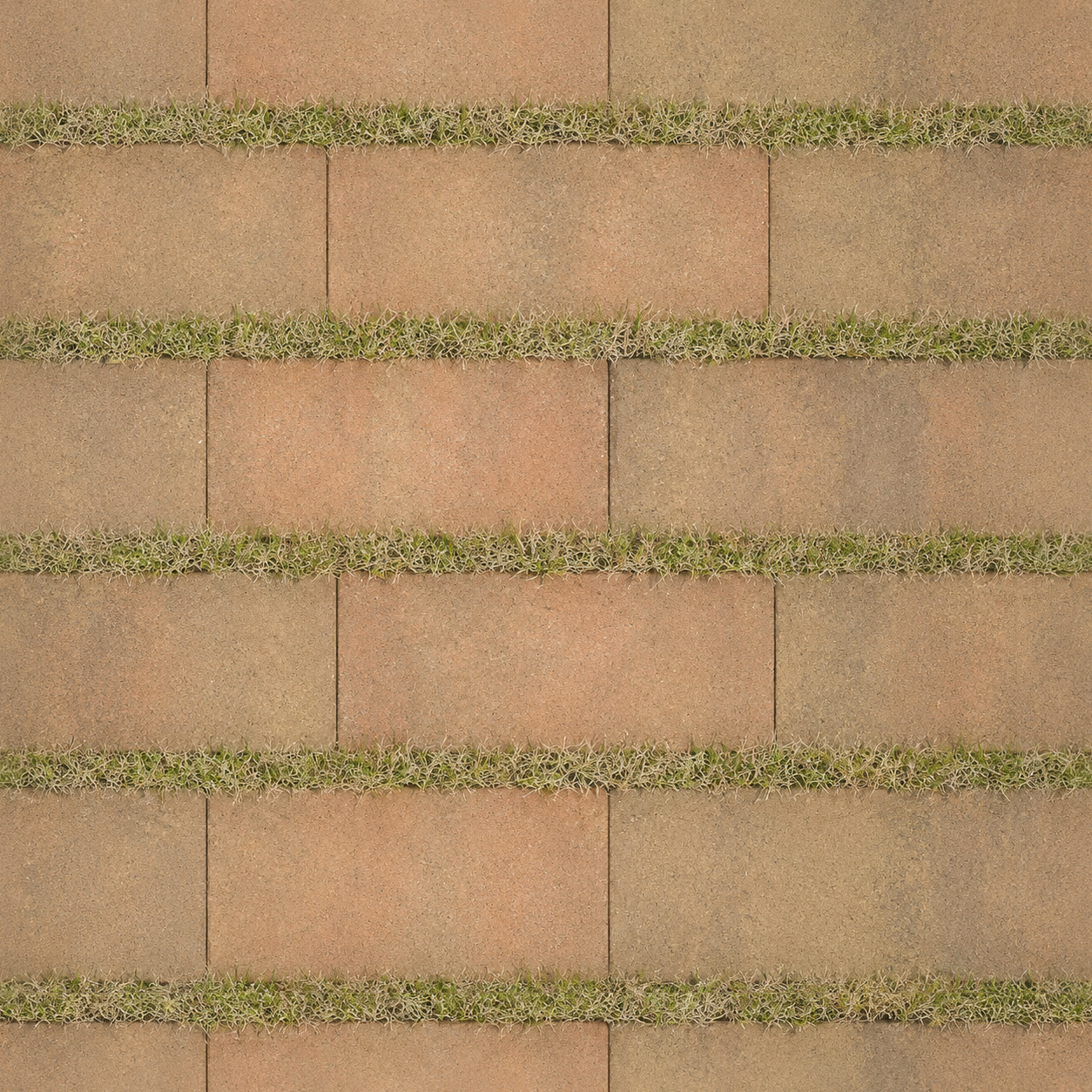 Tan Concrete Pavers With Grass Joints Texture preview showing a natural concrete texture